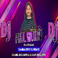 Hay Re Phul Gajara- Sambalpuri Dj Mix Song -Dj Anil & Dj Amit